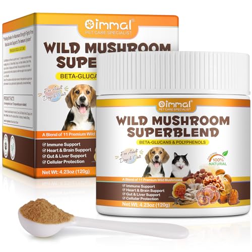 Pilzpulver zur Unterstützung des Immunsystems für Hunde & Katzen, Bio-Pilzkomplex für Immunität & Kognition, mit 11 Bio-Pilzextrakten, Löwenmähne, Reishi, Chaga, Cordyceps, Truthahnschwanz &Mehr, 120g