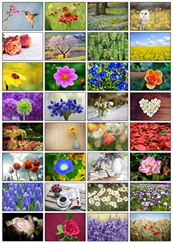 32 Grußkarten Blumen Klappkarten mit 32 Umschlägen Blumen & Garten