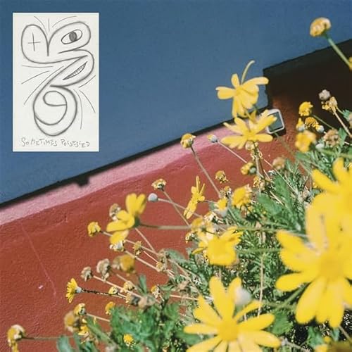 Sometimes Possessed [Vinyl LP]
