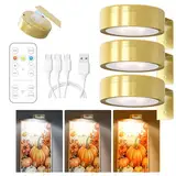 3 Stück Bildbeleuchtung Kabellos, Aufladbar Bilderleuchte Kabellos mit Fernbedienung, Bild Licht mit 3 Lichtfarben, Dimmbar, Magnetisches LED Malerei Licht für Bilderrahmen, Wand, Regal, Bilder