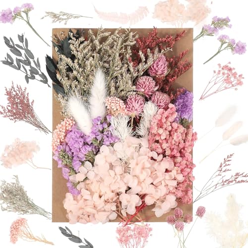 JIEYUCHU Trockenblumen, Trockenblumen Zum Basteln, Natürliche getrocknte Blumen, Trockenblumen Klein zum Basteln für für DIY Epoxidharz Scrapbook Zubehör Handgemachte Heimdekoration Hochzeit