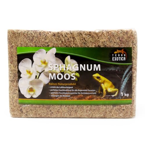 Terra Exotica Sphagnum Moos (1 Kg) Torfmoos für Garten-, Zimmerpflanzen & Terrarien