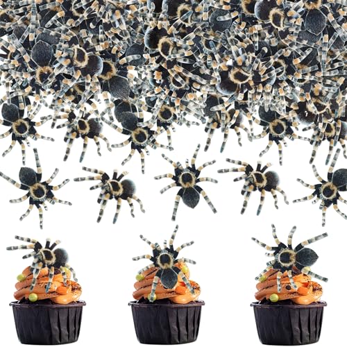 Blumomon 40 Stück Essbare Kuchen Dekoration Spinnen Cupcake Topper Spinnen Tortenaufsatz Kuchen Kindergeburtstag Party Dekoration Halloween Party Dekoration