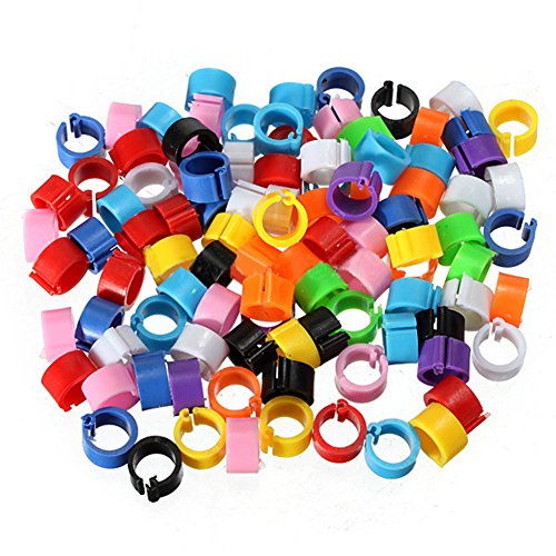 100pcs gemischte Farben-Vogel-Fuß-Ring-Bänder kleine Plastikbein-Klipp-Ringe für Tauben-Küken Bantam kleines Geflügel