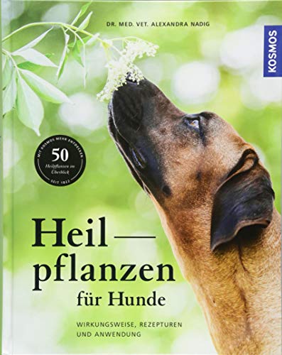 Heilpflanzen für Hunde: Wirkungsweise, Rezepturen und Anwendung