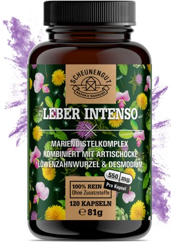 LEBER INTENSO® Leber Komplex Hochdosiert - WICHTIG: Laborgeprüft mit Mariendistel, Artischocke, Löwenzahn & Desmodium PLUS 80% Silymarin + 5% Cynarin I 120 Stk -DE- SCHEUNENGUT®