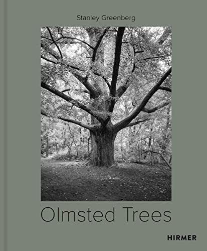 Olmsted Trees: Stanley Greenberg