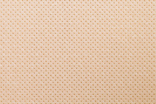 Thermoplastisches Schienenmaterial | Turbocast® | Micro perforiert (Dicke: 1,6 mm, beige)