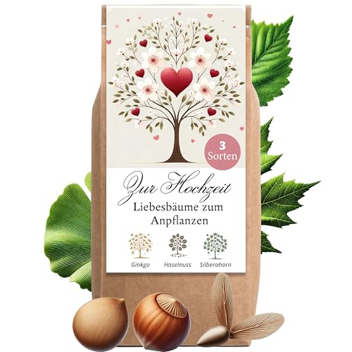 Hochzeitsgeschenk Anzuchtset Liebesbäume Hochzeitsgeschenke für Brautpaar Liebesbäume Geschenk Hochzeit kleine Aufmerksamkeit Hochzeitsbaum Baum Pflanzen Samen Set (Variante 1)