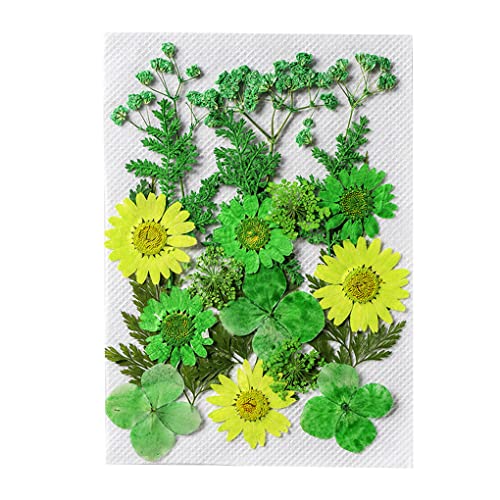 Natürliche getrocknete Blumen, handgefertigte gepresste Blumen, schöne Dekore, Haushaltsbedarf, Geschenke für Hochzeitskarten, Harzkerzen, Typ 3