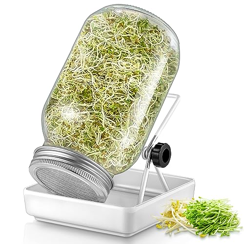 ecooe Sprossen Keimglas 1er Set keimgläser für Sprossenglas Sprouting jar mit 1 Wasserschale 1 Filtergitterabdeckungen aus Edelstahl 304 und 1 Ständer