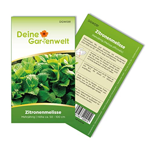 Zitronenmelisse Samen - Melissa officinalis - Zitronenmelissesamen - Kräutersamen - Saatgut für 150 Pflanzen