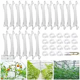 TUIBEIDAMAI Tomatenhaken mit Schnur,18 Stück Tomatenhaken Metall mit 18 Pflanzenschnalle und 15m Seil,Garden Tomato Hooks,für Hängende Tomaten und Gurken.