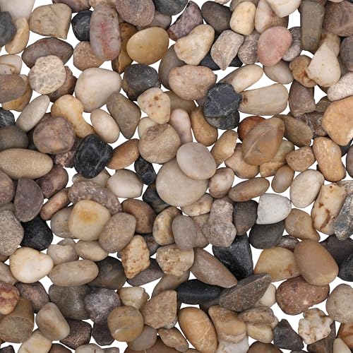 BELLE VOUS Dekosteine Kieselsteine Natur (3,6kg Sack) Kieselsteine Deko 1,4-2,6cm Mini Sortierte Deko Kieselsteine - Gemischter Flusskies für Vasenfüller, Landschaftsbau, Aquarien, Haus & Garten