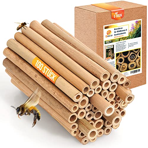 BEESI 100x Bambusröhrchen für Insektenhotel I 14 cm Länge I Bambus für Bienenhotel I Füllmaterial Wildbienen Zubehör