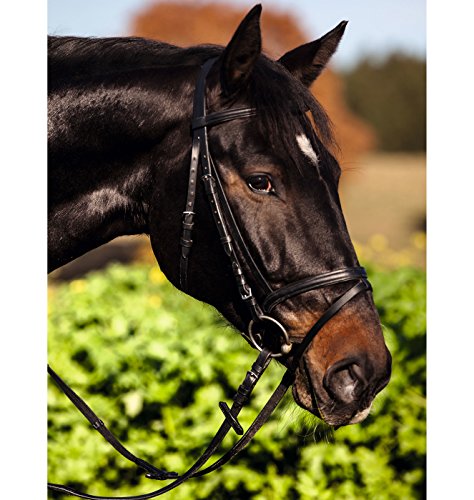 Kerbl 32172 Trensen-Zaum Standard Leder für Warmblut, schwarz