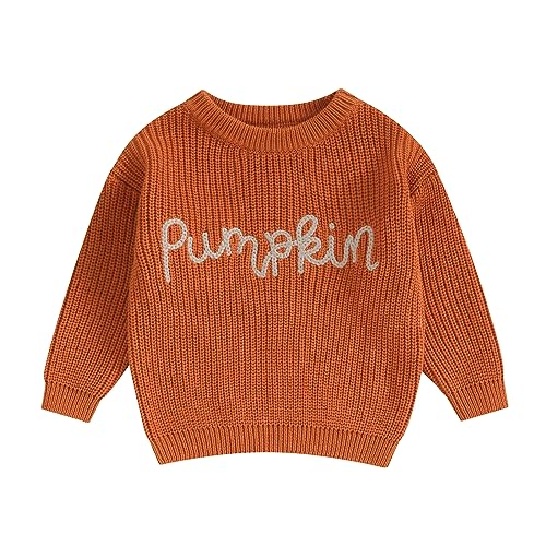 Infant Unisex Baby Oversized Knit Sweater Chunky Halloween Pumpkin Long Sleeve Pullover Sweater Baby Girl Jumper (Orange, 2-3 Years)