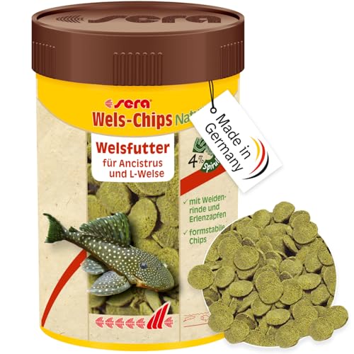 sera Pleco Chips 250 ml (92 g) | Formstabile Chips für den gesunden Wels wie Ancistrus & L-Welse | Hohe Futterverwertbarkeit | Futter für Zierfische | Fischfutter Made in Germany