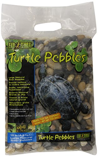 Exo Terra Turtle Pebbles Schildkrötenkies, 4,5 kg