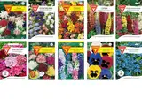 Blumen Samen Set: Sommerblumen-Paket / 10 verschiedene Sommerblumensorten/bunte Blumenwiese/Für Garten, Balkon und Hochbeet