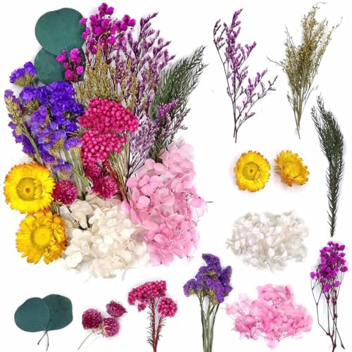 JEXOWIQ 1 Paket Trockenblumen,Getrocknete Blumen,Trockenblumen Zum Basteln Mini Trockenblumen Trockenblumen Set für DIY Epoxidharz Scrapbook Zubehör Handgemachte Heimdekoration Hochzeit