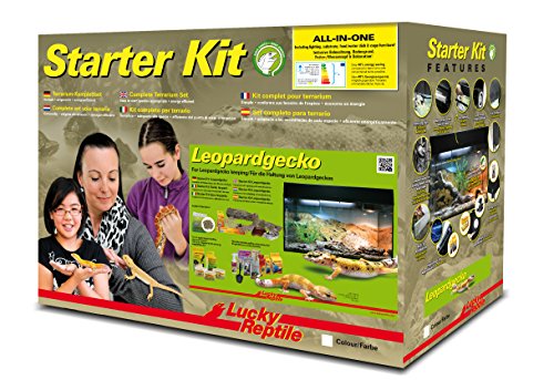 Lucky Reptile Leopardgecko Starter Kit 80 cm - hochwertiges Gecko Terrarium Komplettset für die Aufzucht und Dauerhaltung von Geckos - Starter Set Leopard Gecko für Einsteiger in schwarz