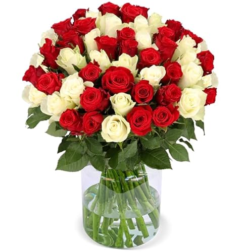 Rosenstrauß, 50 rot-weiße Rosen, Ideales Blumengeschenk, 50 cm, Qualität vom Floristen, 7-Tage-Frischegarantie, Schneller Blumenversand