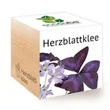 Feel Green 296442 Ecocube Herzblattklee/Love Plant, Nachhaltige Geschenkidee (100% Eco Friendly), Grow Your Own/Anzuchtset, Pflanzen Im Holzwürfel, Made in Austria