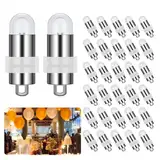 30 Stück Mini LED Ballonlichter, Warmweiß, IP65 Wasserdicht, LED Laternenlichter, Batterie Kann Ersetzt Werden, für Ballon, Papierlaterne, Halloween, Weihnachten, Hochzeit, Party Lichter Dekoration