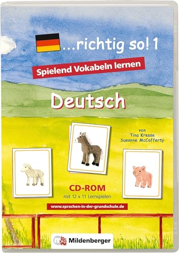 richtig so!, 1 CD-ROM.Tl.1,CD-ROM: Spielend Vokabeln lernen. Deutsch. Mit 12 x 11 Lernspielen. Einzellizenz. Für Windows 98SE/Me/2000/XP