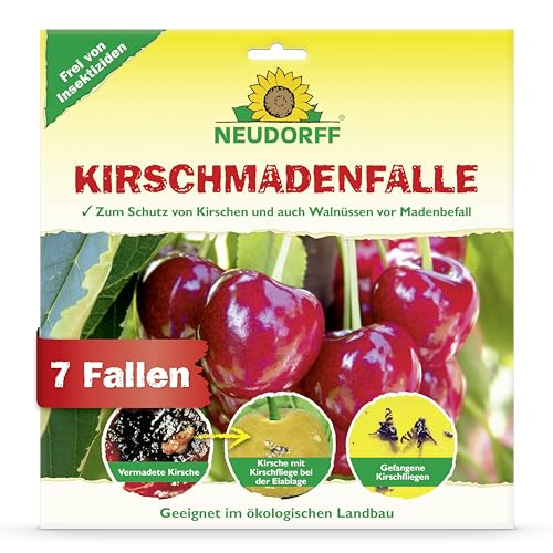 Neudorff KirschmadenFalle – Schützt Kirschen und Walnüsse vor Madenbefall, insektizidfreie Leimfalle, 7 Stück