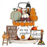 15PCS Autumn Pumpkin Fall Tray Decor, Fall Farmhouse Tiered Tray Decor Set, Rustic Wood Sign Thanksgiving Decorations for Table