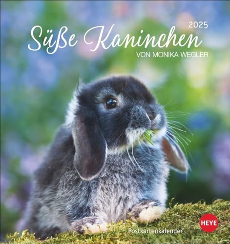 Süße Kaninchen Postkartenkalender 2025: Tierfotografin Monika Wegler setzt in einem kleinen Kalender niedliche Häschen in Szene. Tischkalender im Postkartenformat. (Postkartenkalender Heye)