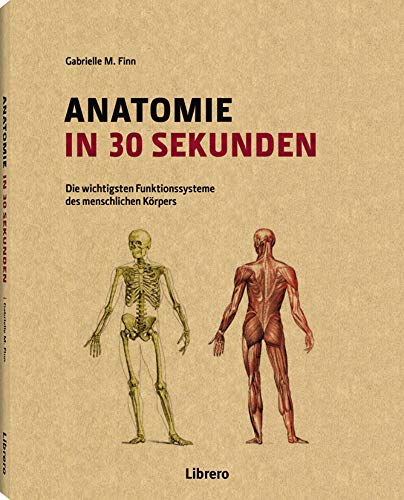 Anatomie in 30 Sekunden: Die wichtigsten Funktionssysteme des menschlichen Körpers