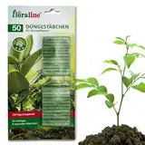 floraline® | 50x Grünpflanzen - Düngestäbchen | pro Stäbchen: Dünger für bis zu 100 Tage prächtige Blumen mit Wachstum und gesundem Aussehen | für z. Bsp. Palmen, Efeu, Hanf, Elefantenfuß