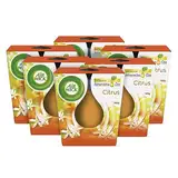 Air Wick Wohlfühl-Duftkerze im Glas – Duft: Citrus – Enthält natürliche ätherische Öle – 6 x 105 g Duftkerzenset