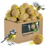 Fepro Meisenknödel mit Netz, 100 Stück (a 90g = 9 kg), Vogelfutter Wildvogelfutter Meisenkugel Ganzjahresfutter Fettfutter Fat Ball