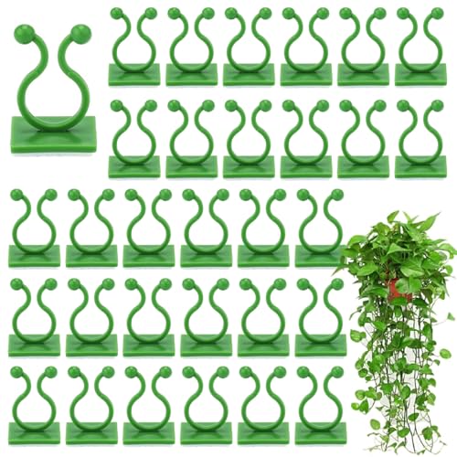 Hinapan 100 Stück Kletterwandbefestigungs-Clips, Wand-Pflanzenclips für Kletterpflanzen, Selbstklebende Pflanzenwandklemmen, für Innen- und Außendekoration (Grün)