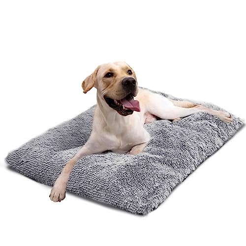 CALIYO Hundebett, Hundekissen Grosse Hunde, Flauschige Hundematte, Langer Plüsch, 100x70x10cm, weiche Polsterung, maschinenwaschbar, multifunktional, Grau