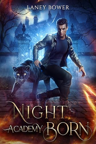 Nightborn Academy - Spicy Urban Romantasy aus Sicht der Lehrkräfte