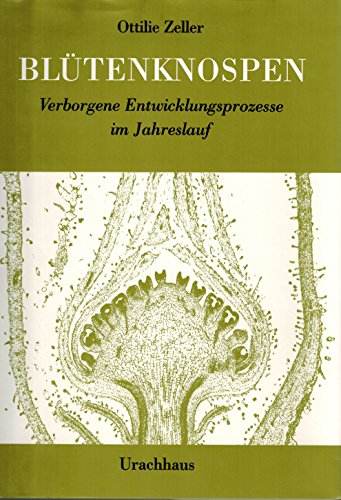 Blütenknospen. Verborgene Entwicklungsprozesse im Jahreslauf