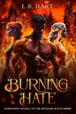 Burning Hate (The Soulless Witch) (English Edition)