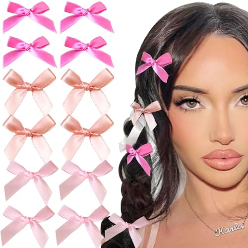 JeVenis 12 Stück Rosa Bow Hair Clip Schleifen Haarspange Haarspange Schleife Für Damen Rote Schleife Haare