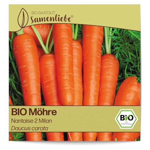 Samenliebe BIO Möhren Samen Nantaise 2 Milan süße und saftige Karotte orange 800 Samen samenfestes Gemüse Saatgut für Gewächshaus Freiland und Balkon BIO Gemüsesamen