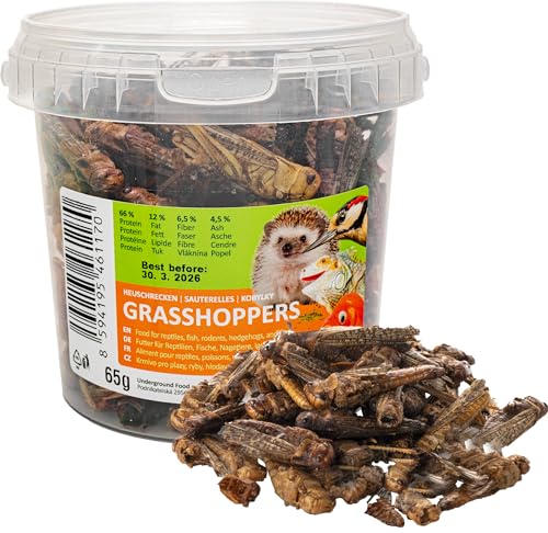 UGF - Getrocknete Heuschrecken 500ml Eimer, Heuschrecken Insekten, Reptilienfutter, Nagetierefutter, Igelfutter, Eidechsenfutter, Vogelfutter Wildvögel Ganzjährig, Fischfutter