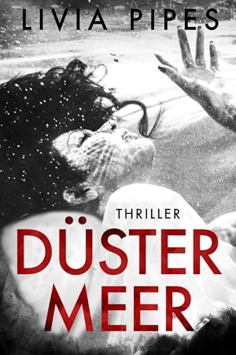 Düstermeer: Thriller (Kati Lindberg-Reihe 10)