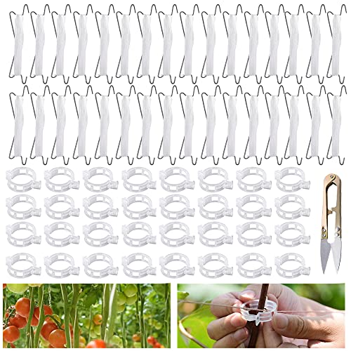 RURIZHONGTIAN 32 Stück Tomatenhaken mit Schnur,Tomatenhaken Metall, Robuster Tomaten Haken,Garten Tomatenhaken mit Clips,für Hängende Tomaten und Gurken.
