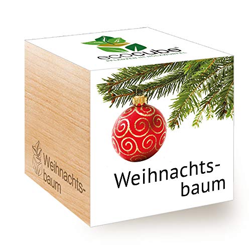 Feel Green Ecocube Weihnachtsbaum/Xmas Tree, Nachhaltige Geschenkidee (100% eco friendly), Grow Your Own/Anzuchtset, Pflanzen Im Holzwürfel, Made in Austria