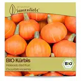 Samenliebe BIO Hokkaido-Kürbis Samen alte Sorte Hokkaido Red Kuri 10 Samen samenfestes Gemüse Saatgut für Gewächshaus und Freiland BIO Gemüsesamen