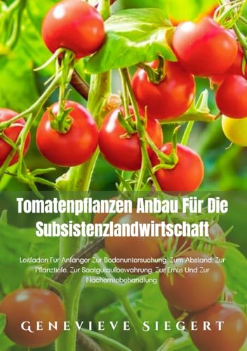 Tomatenpflanzen Anbau Für Die Subsistenzlandwirtschaft: Leitfaden Für Anfänger Zur Bodenuntersuchung, Zum Abstand, Zur Pflanztiefe, Zur Saatgutaufbewahrung, Zur Ernte Und Zur Nacherntebehandlung.